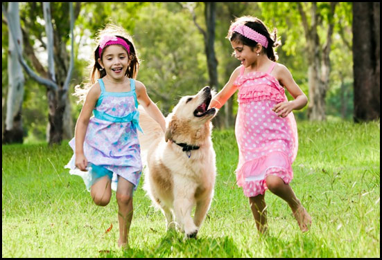 Running with Pet Dog Running with Pet Dog